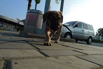 P1030154.JPG