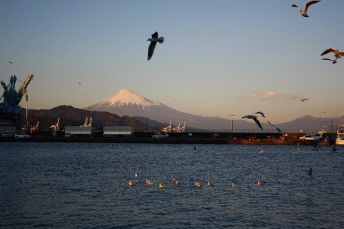 IMG_0226s.jpg
