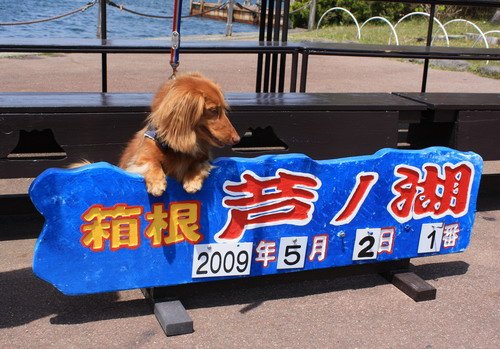 盧之湖1.jpg