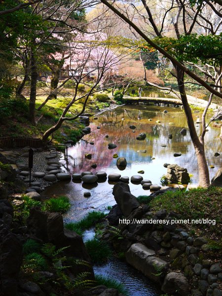 sakura1303