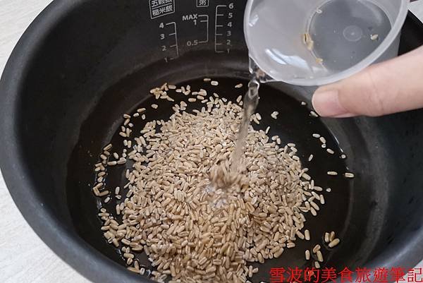 大加燕米005.jpg