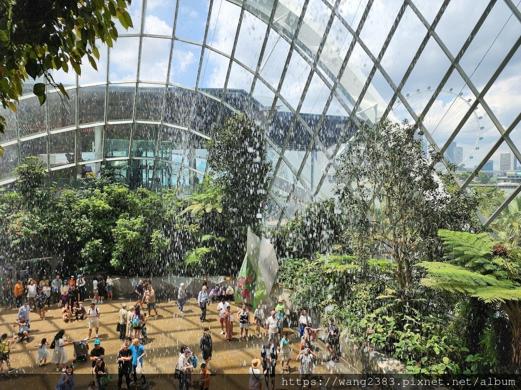 雲霧林 Cloud Forest