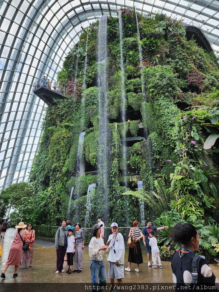 雲霧林 Cloud Forest