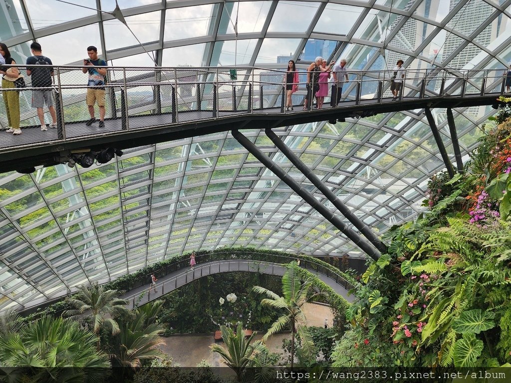 雲霧林 Cloud Forest