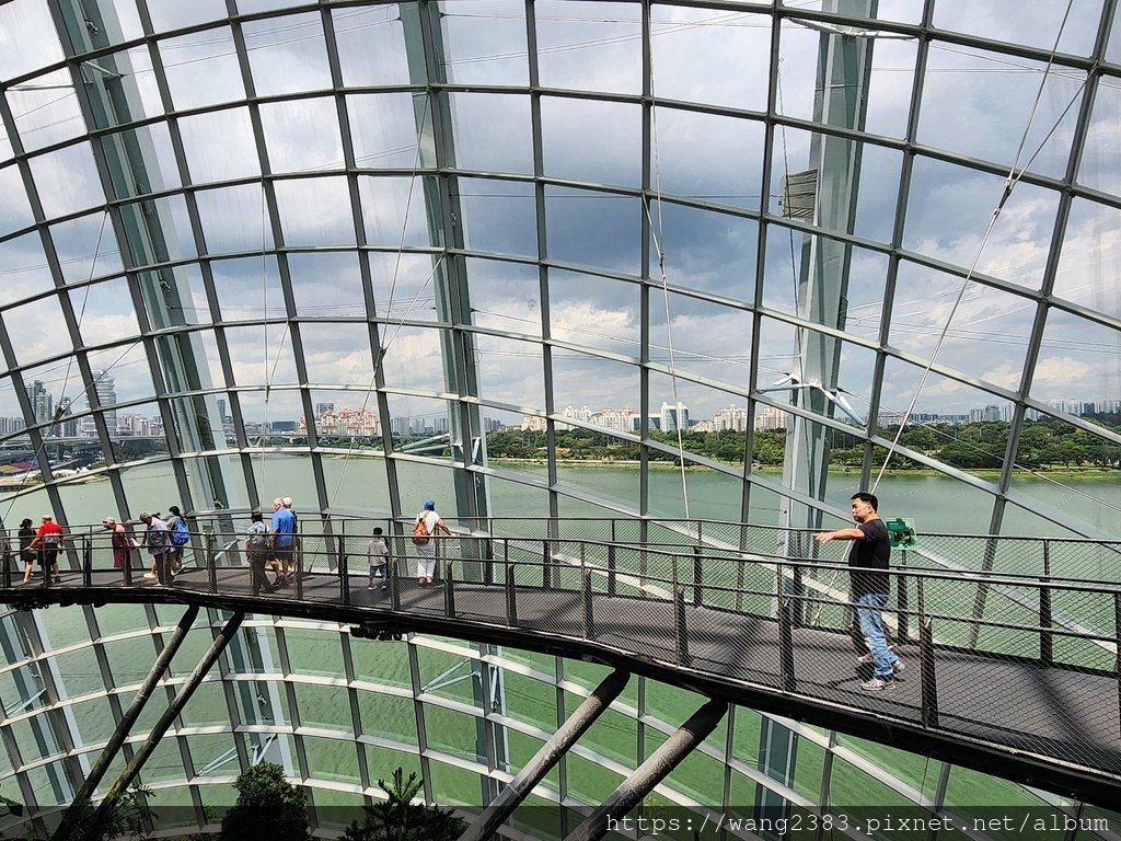 雲霧林 Cloud Forest