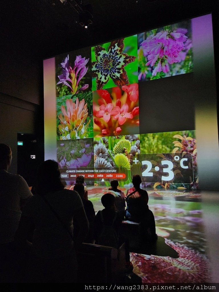 雲霧林 Cloud Forest