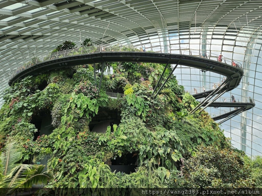 雲霧林 Cloud Forest