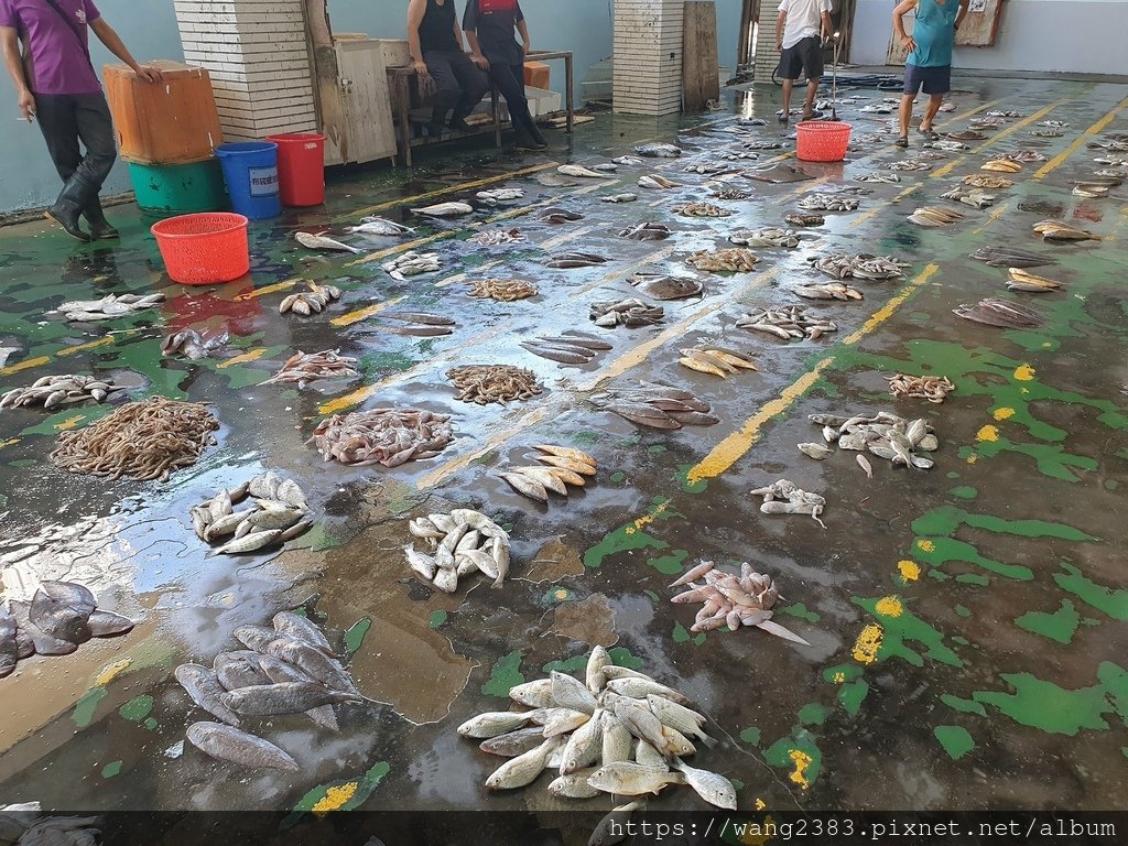 20241123 布袋觀光魚市 (15).jpg