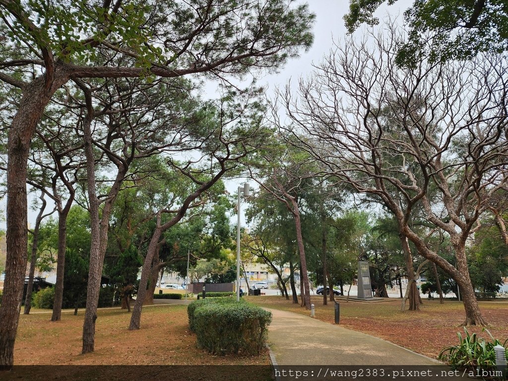 20250131 新竹公園 (27).jpg