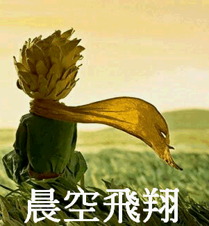 晨空飛翔.gif