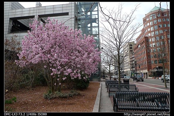 20100406-11South Station外景色.jpg