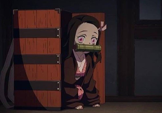 竈門禰豆子.png