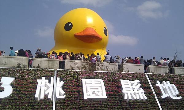 黃色小鴨來桃園