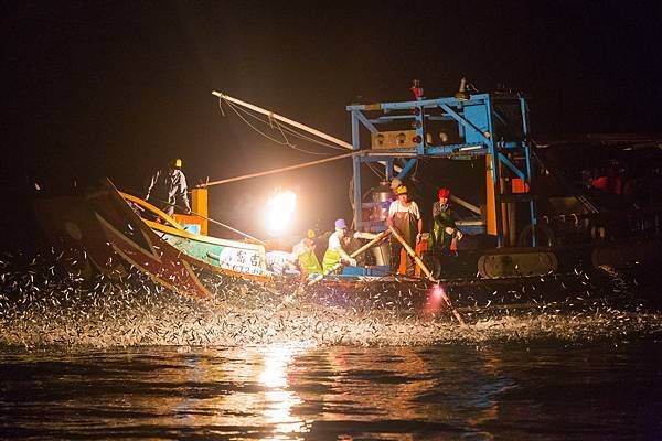 20160618~19磺火捕魚早流-31.jpg