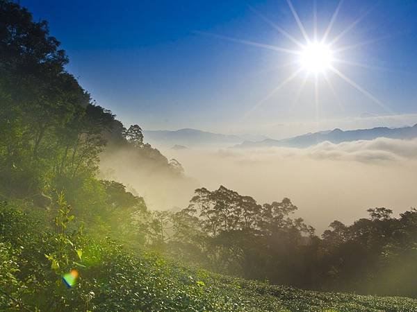 sun-light-patches-of-light-beams-sky-vegetation-fog-clouds-green.jpg