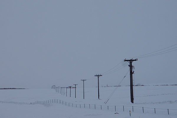 P3101346.jpg