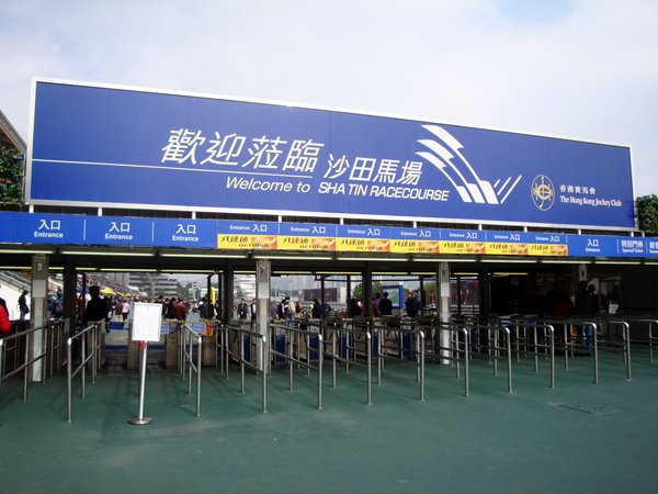 DSC04808.jpg