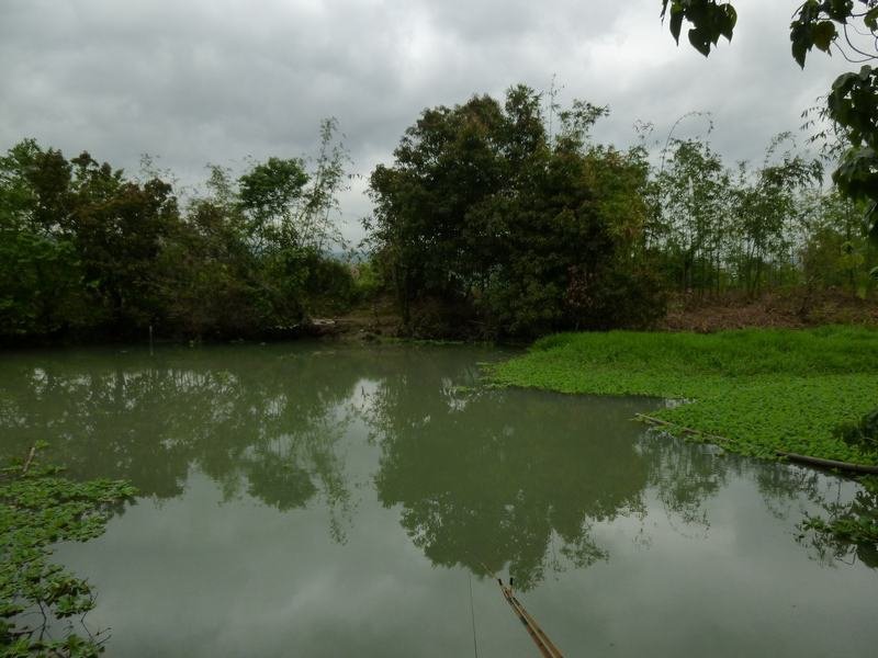 P1110207.JPG