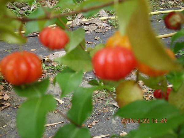 IMG_2082.JPG