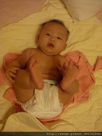 DSC02585.jpg