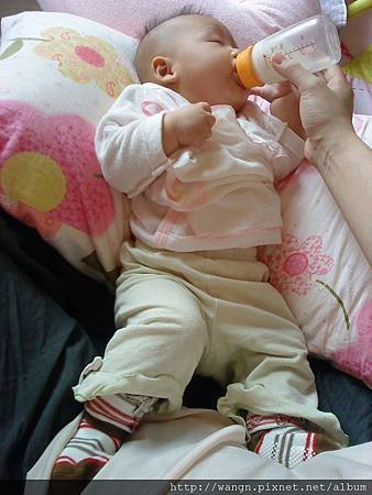 DSC05548.jpg