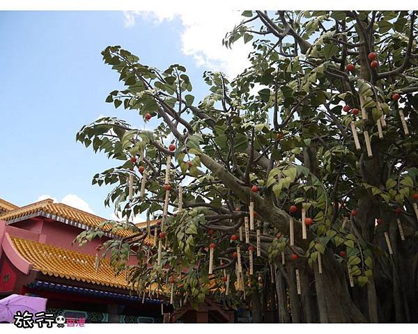 昂坪市集07