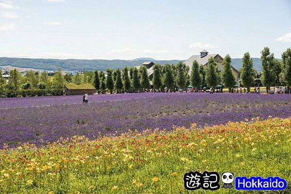 富良野FLOWER LAND花田13