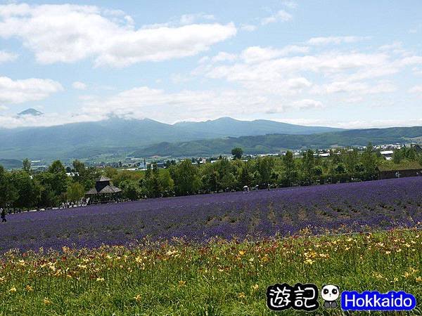 富良野FLOWER LAND花田60