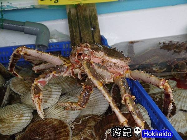 日式和食料理 06