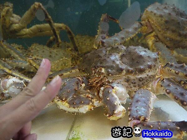 日式和食料理 24