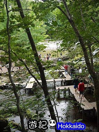 京極羊蹄湧水公園10