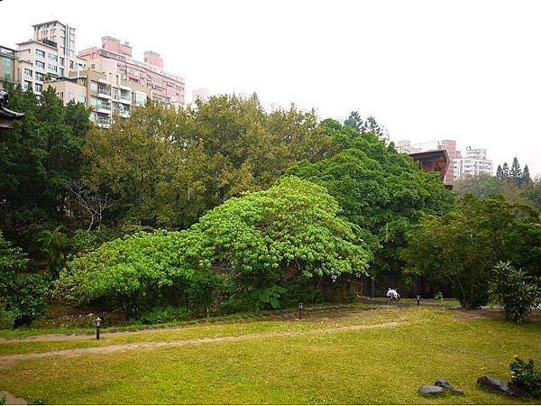 P1200284.jpg