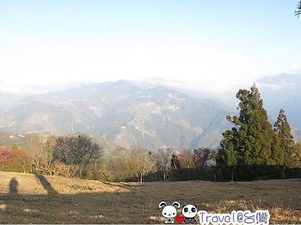 IMG_5469.jpg