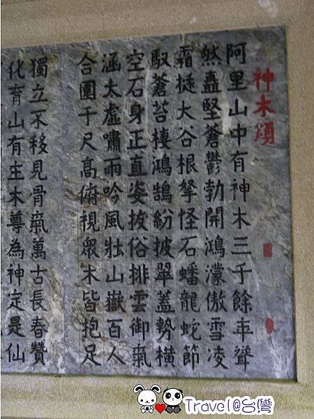 P1230775.jpg