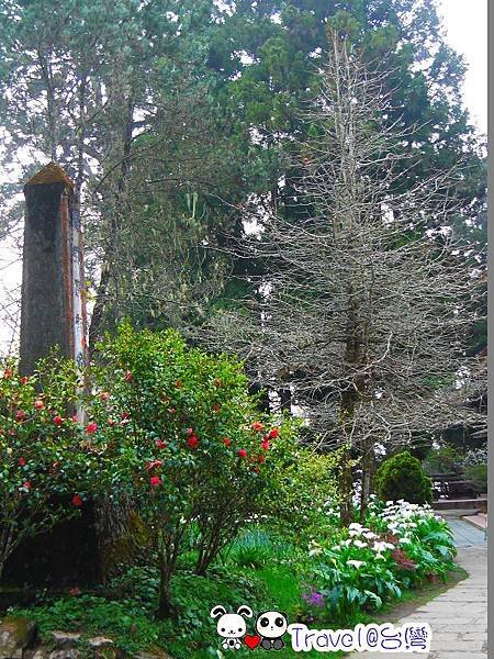 P1230811.jpg