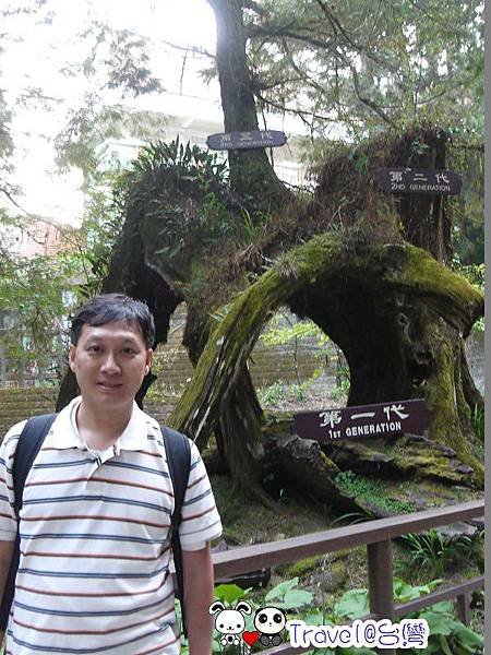 P1230826.jpg