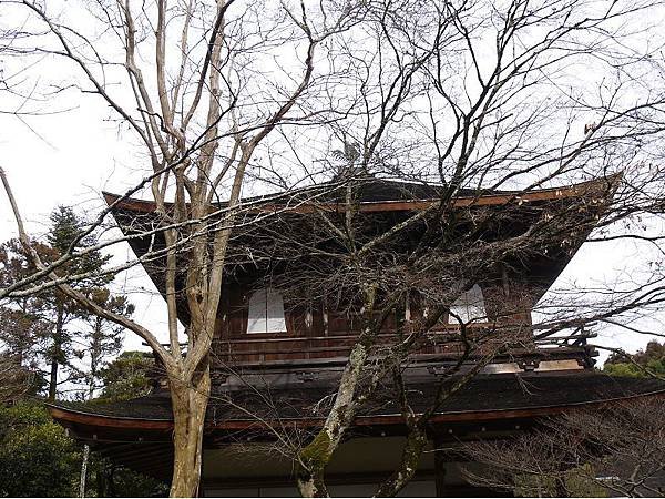 銀閣寺107.jpg