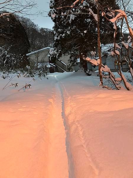 跟著JR日本東北行+北海道聖誕節