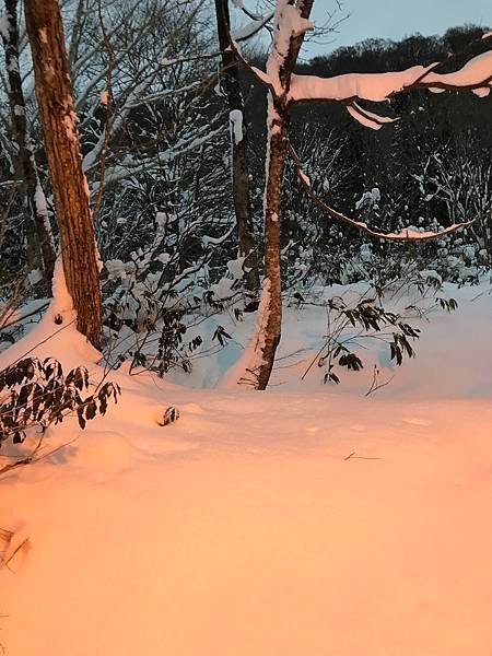 跟著JR日本東北行+北海道聖誕節