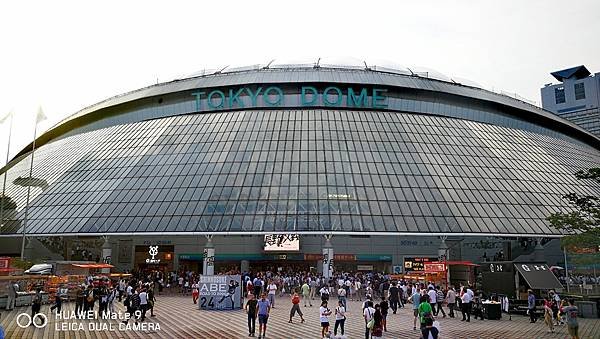 IMG_20170713_115002.jpg