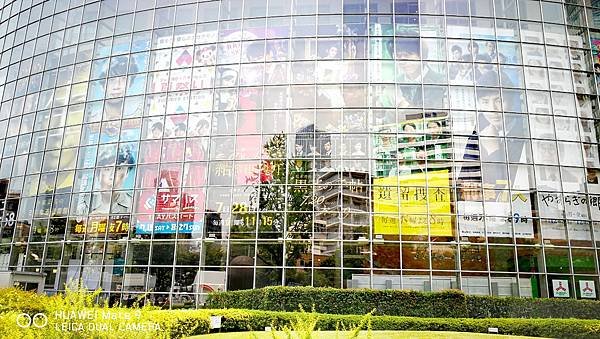 IMG_20170719_182058.jpg