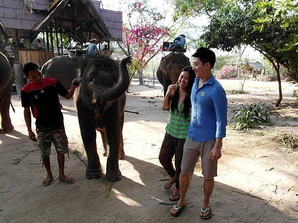 01_elephant (3)