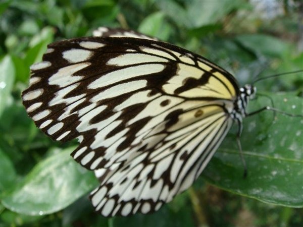 DSC06289.JPG
