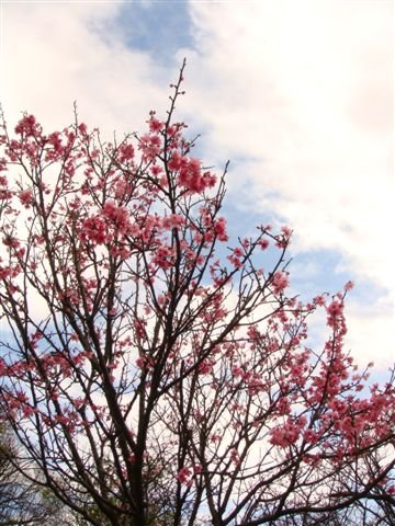 DSC07298.JPG