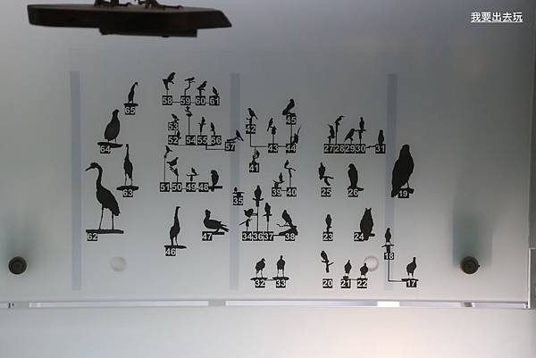 IMG_6828.JPG