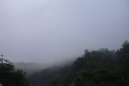DSC01936