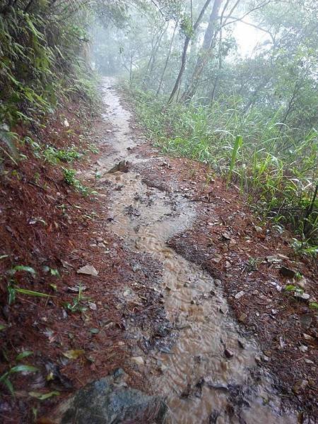 雨路.jpg