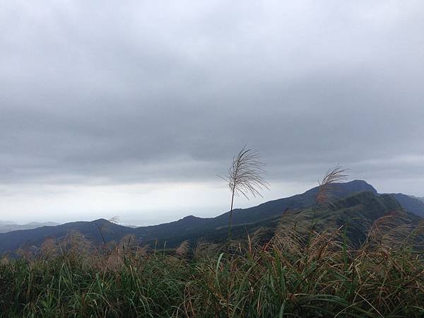 桃源谷-大溪~草嶺線(2019/11/4)