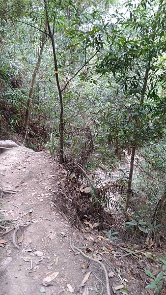 白毛山+唐麻丹山