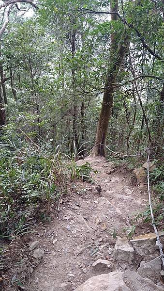 白毛山+唐麻丹山